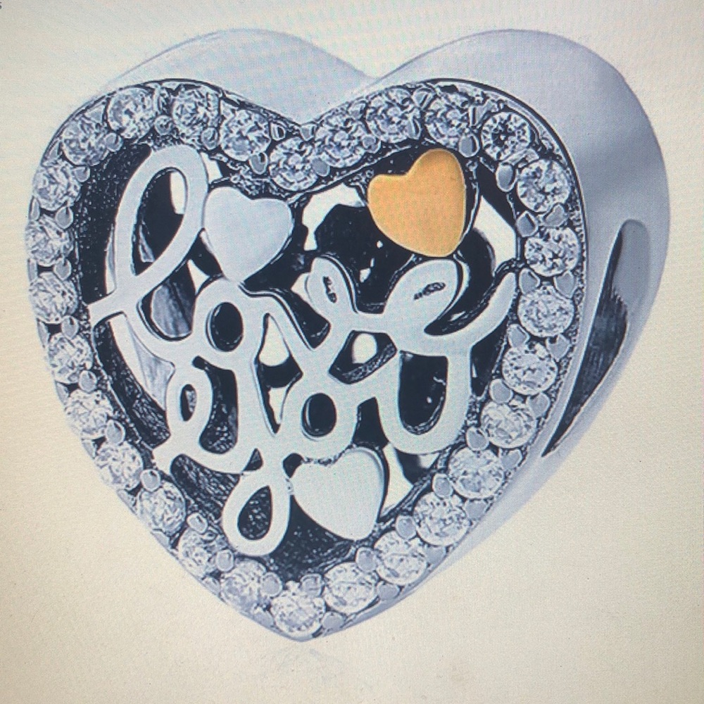 Bracelet and Necklace charm